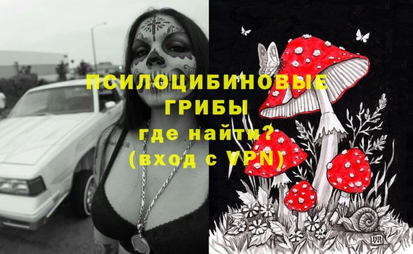 стафф Аркадак