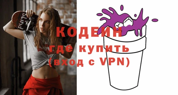 гашик Снежногорск