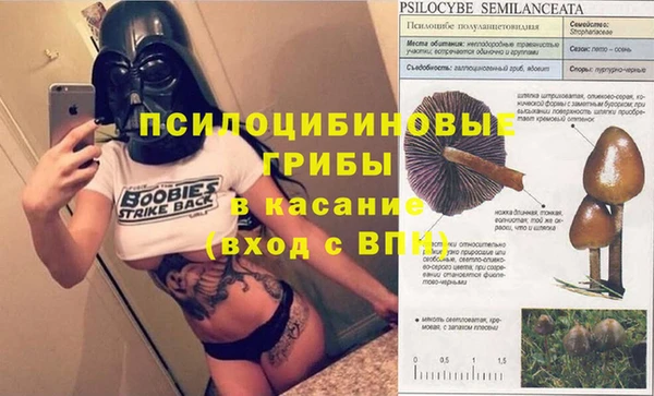 дурь Балабаново