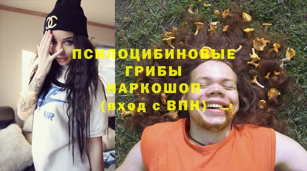 дживик Балахна