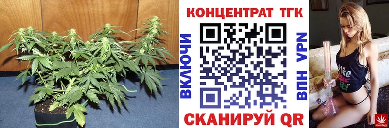 ТГК Wax  Лангепас 