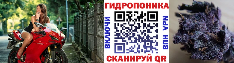 Шишки марихуана тримм  Лангепас 